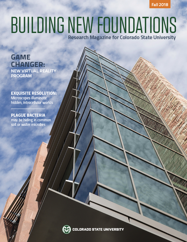 Cover of CSU Research Magazine 2018 titled "Building New Foundations"